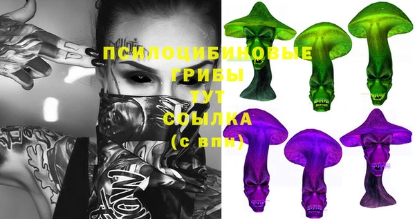шишки Горнозаводск