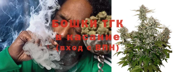 шишки Горнозаводск