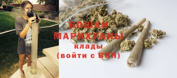 шишки Горнозаводск