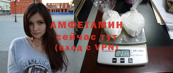 шишки Горнозаводск
