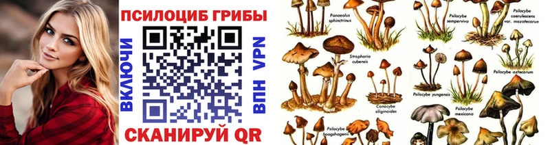где купить наркоту  Далматово  Галлюциногенные грибы Psilocybe 